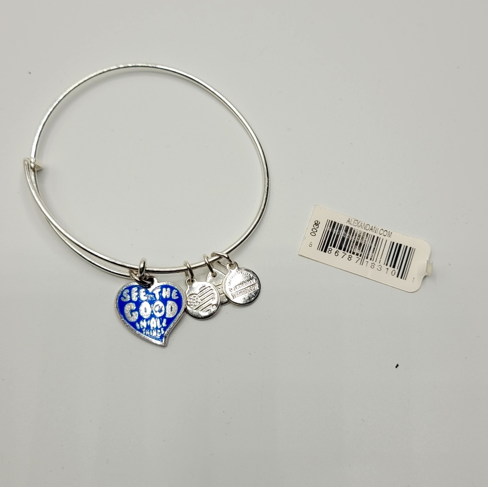 Alex and Ani  bracelet